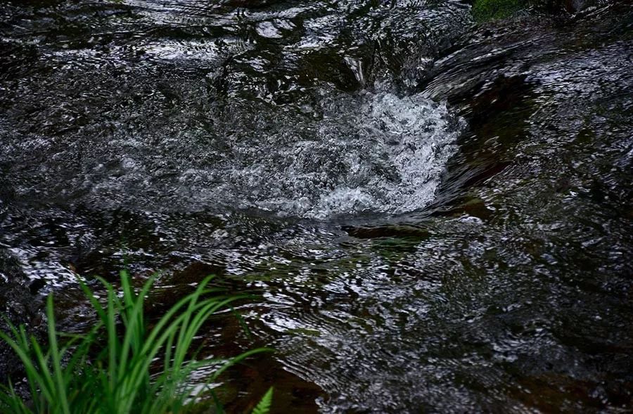 我们在距芜湖70公里的古坝村,找到了向往的生活