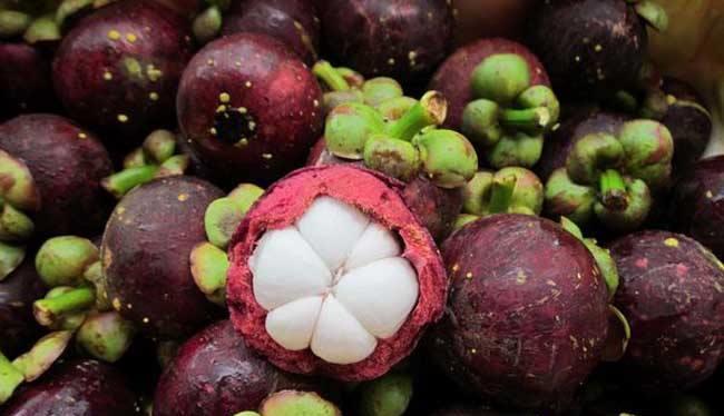 买山竹怎么去挑,买山竹怎么挑选技巧图解