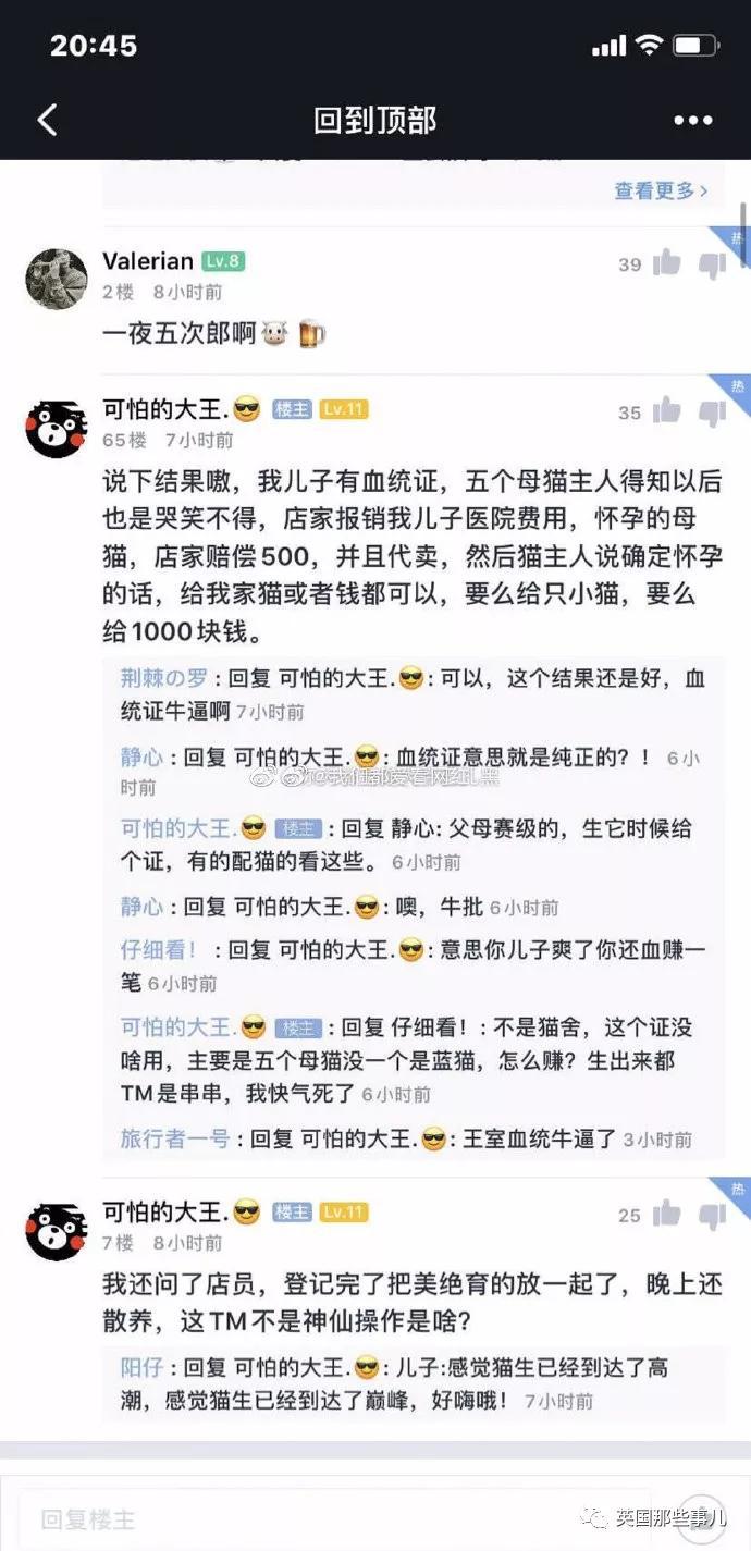 一晚啪了5只喵,累到在医院打点滴,这中国喵把英国人看傻了