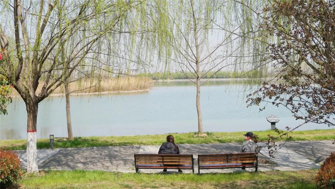郑州免费游玩公园推荐,郑州新公园开放了吗
