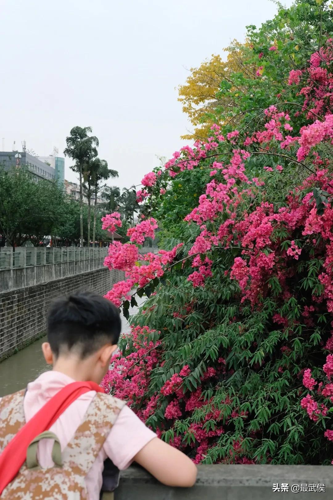少陵路属于什么街道,三年前少陵路