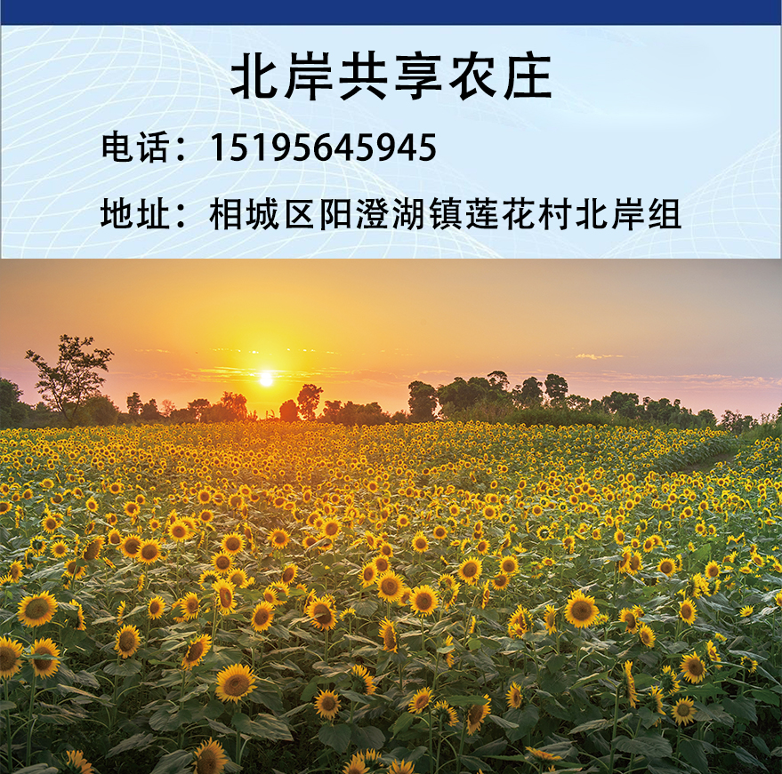 没去过苏州旅游攻略,没去过苏州为什么行程显示去过