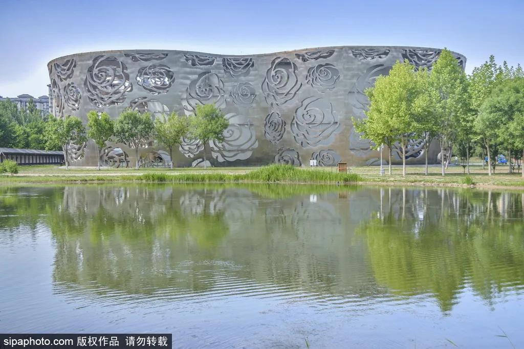 全球最美十大花海美到令人心醉,全球最漂亮花海