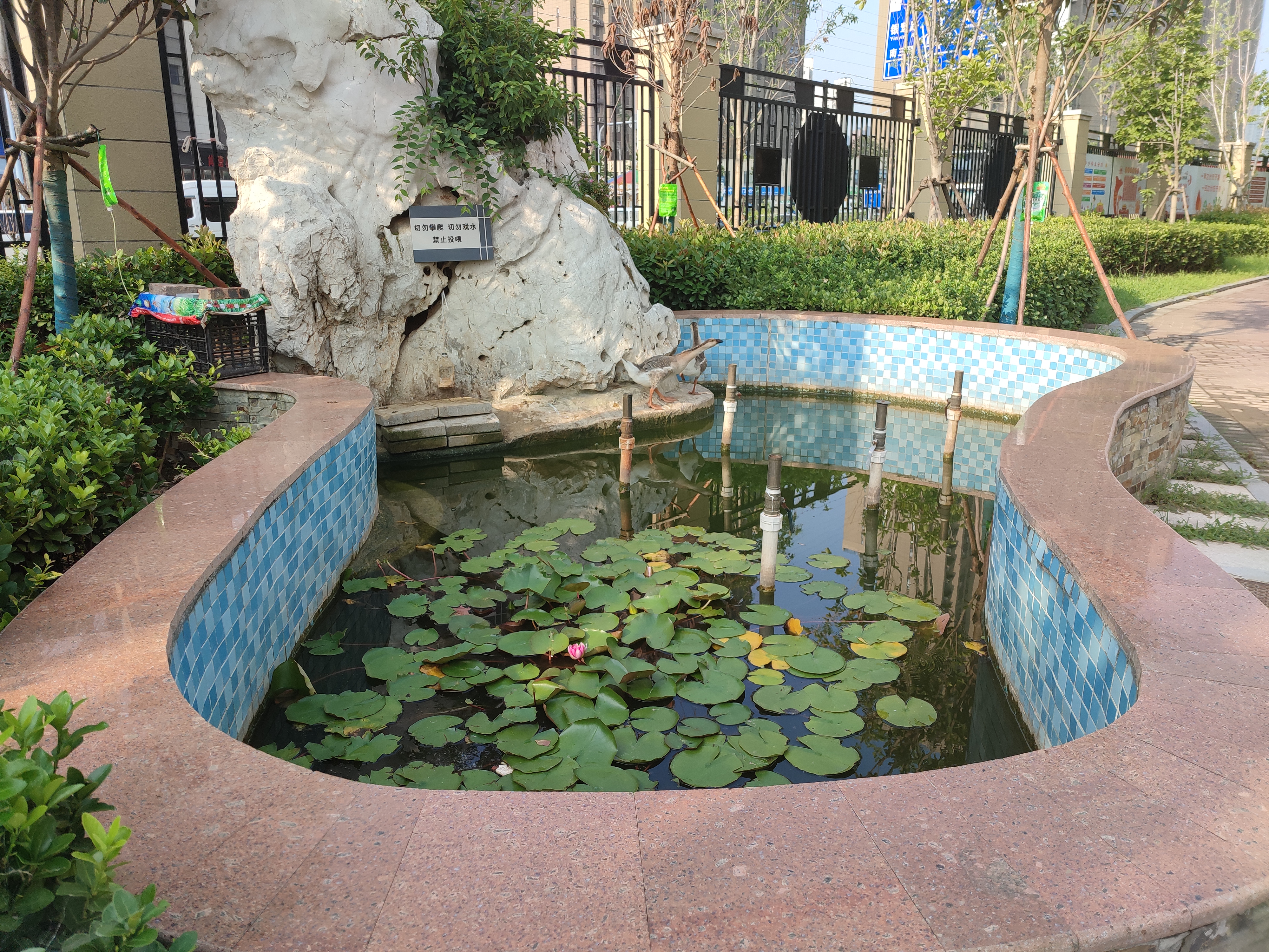 郑州市回民初级中学2020年新校区,一颗冉冉升起的教育新星