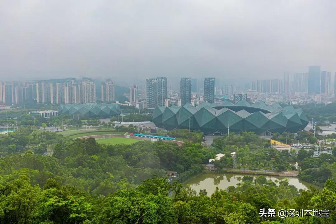 深圳完全免费的十大景点,深圳10大免费景点上集