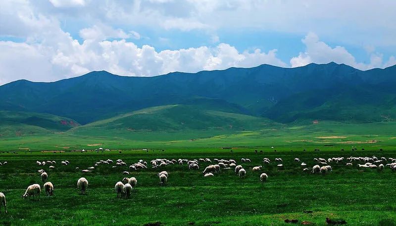 疫情结束后一定要打卡的小众景点,国内最美的小众地