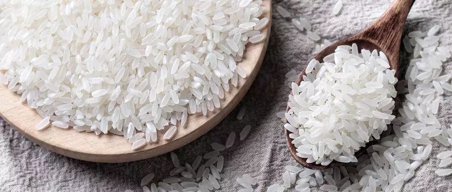 董明珠电饭煲煮米饭,董明珠吃电饭煲