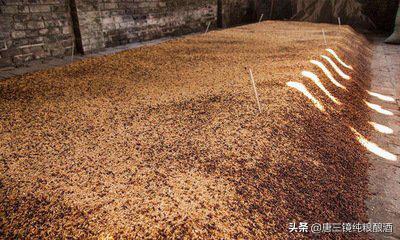粮食白酒传统工艺酿酒技术,酿酒技术小曲白酒的酿造过程