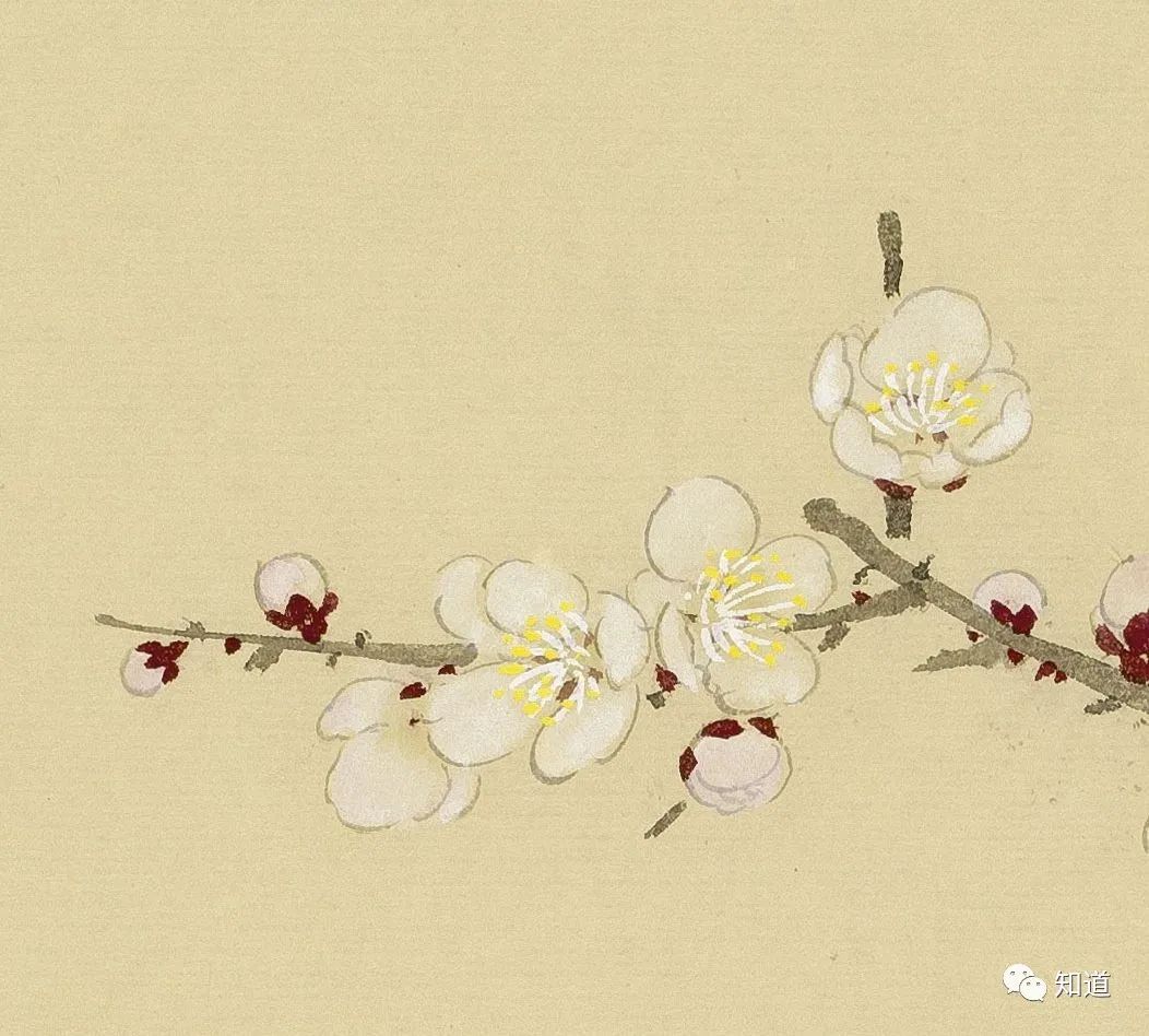 春天的脚步近了好像一切都醒来了,春天的脚步已经悄然而至