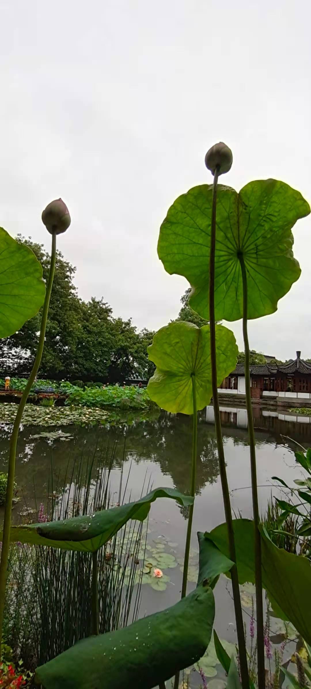 西湖郭庄景区,西湖区郭庄