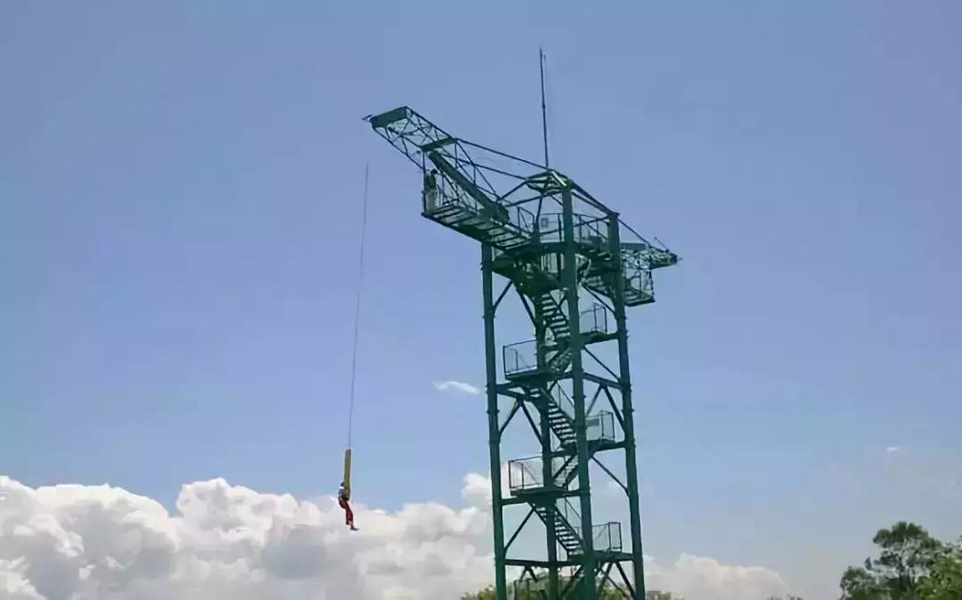 日本农场营收10亿经营秘诀,日本妈妈牧场怎么运营