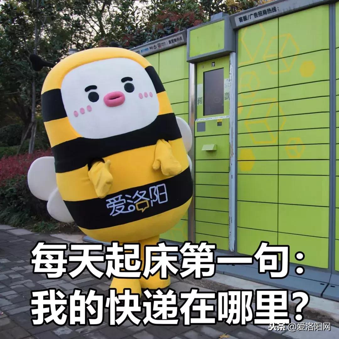 双十一账单图,双十一账单查询2020