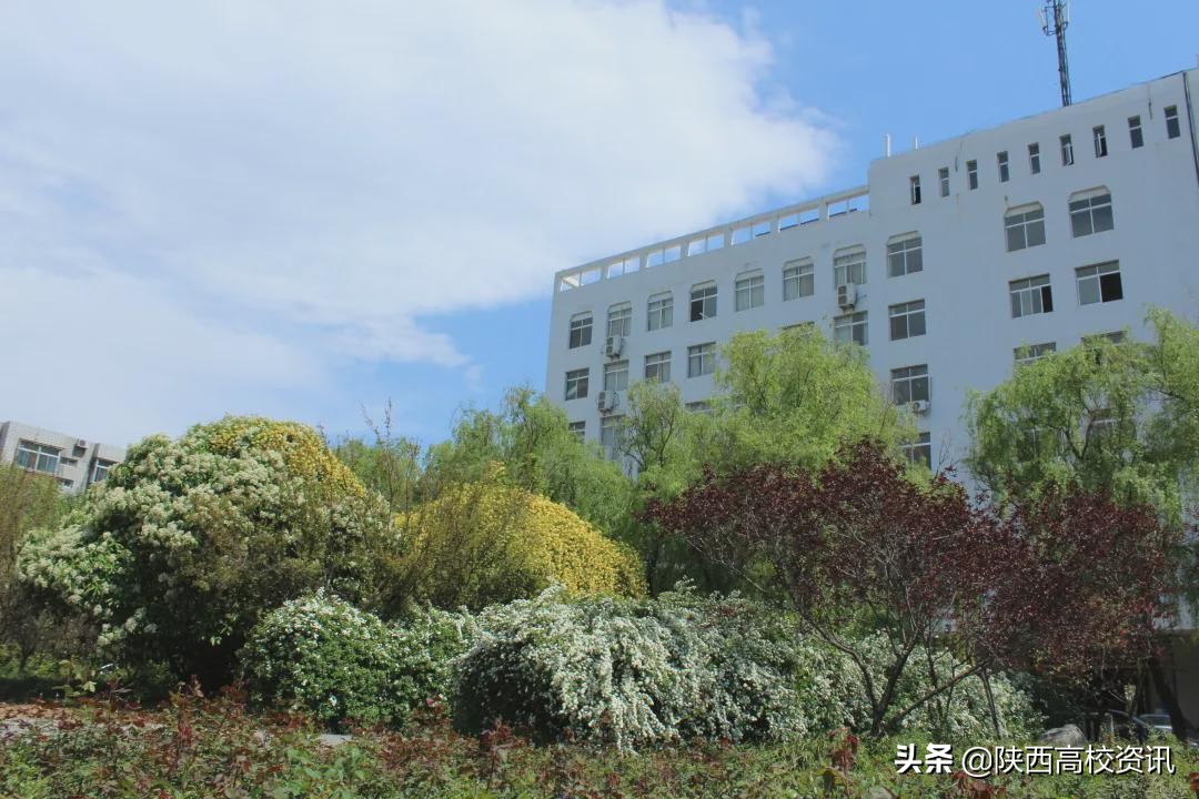 陕西财经职业技术学院单招题,陕西财经职业技术学院24届招生
