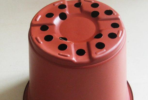 养花不如养蘑菇,养花不如种水果