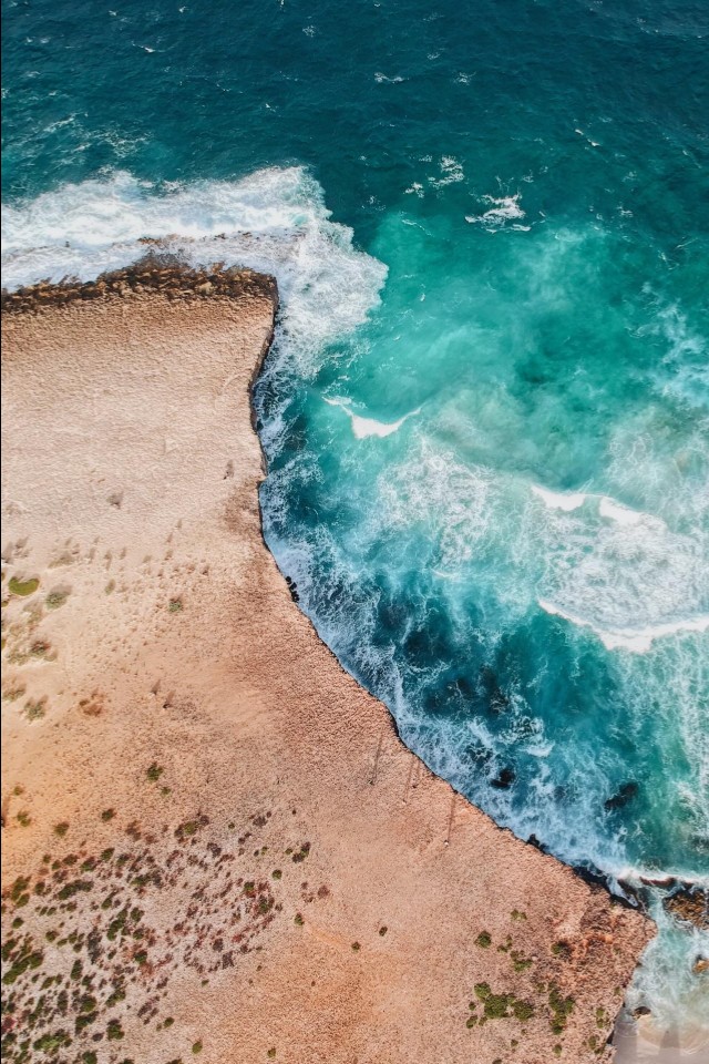 海洋壁纸动态壁纸高清全屏90帧,宠物手机壁纸