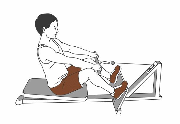 针对背部肌群的训练动作,背阔肌最佳背部训练动作