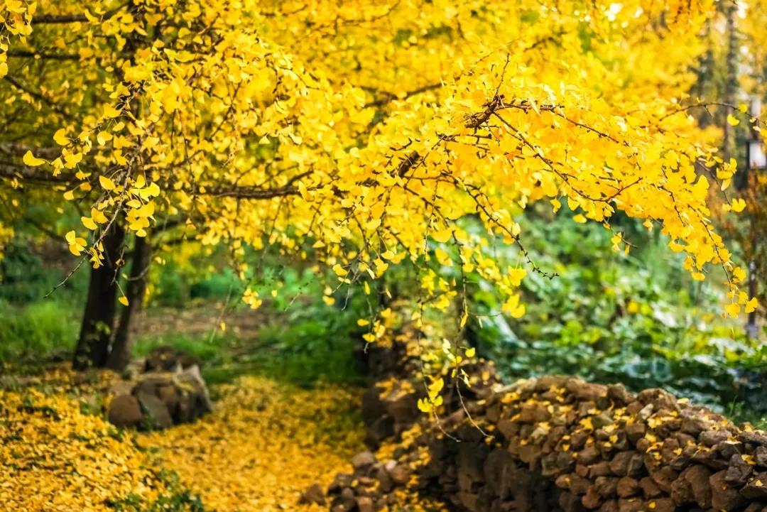 十二月份去云南好玩吗,4月去云南哪里人少景色又好