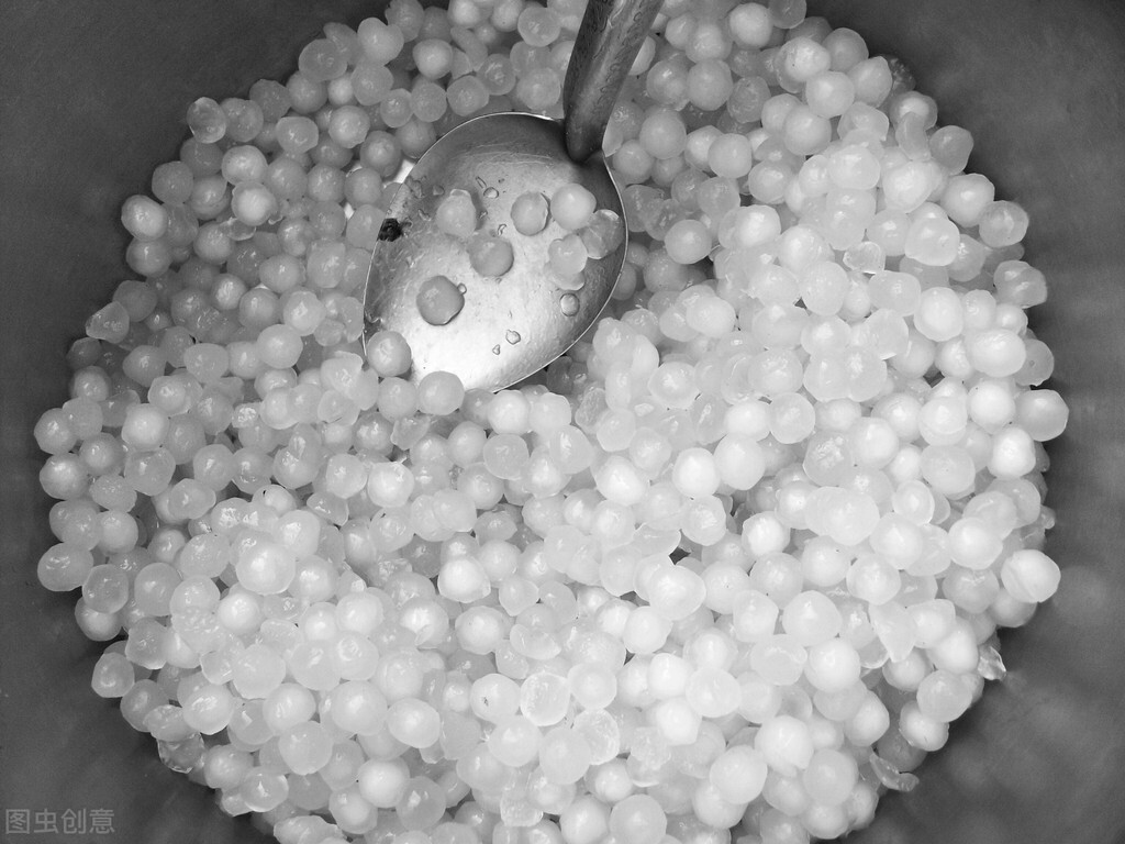 西米是树上长的吗,西米是什么植物长出来的