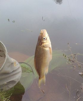 “中气穴则针游于巷”是什么意思?