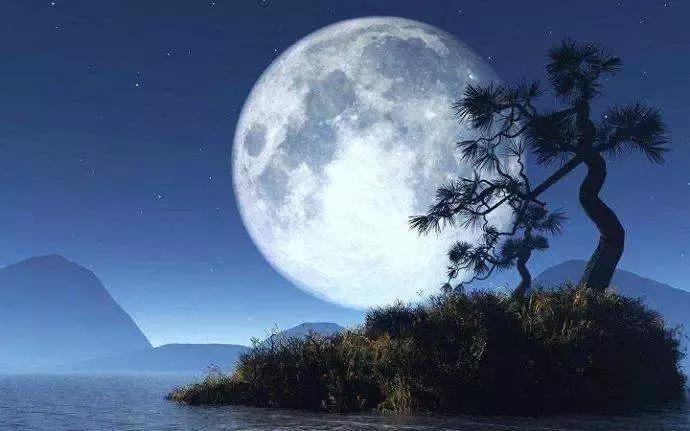 100个佛教故事,成就阿罗汉果位最快的佛教故事