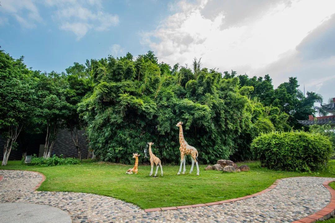 体验度假式甩肉,科学享瘦,7天秒变男神收割机