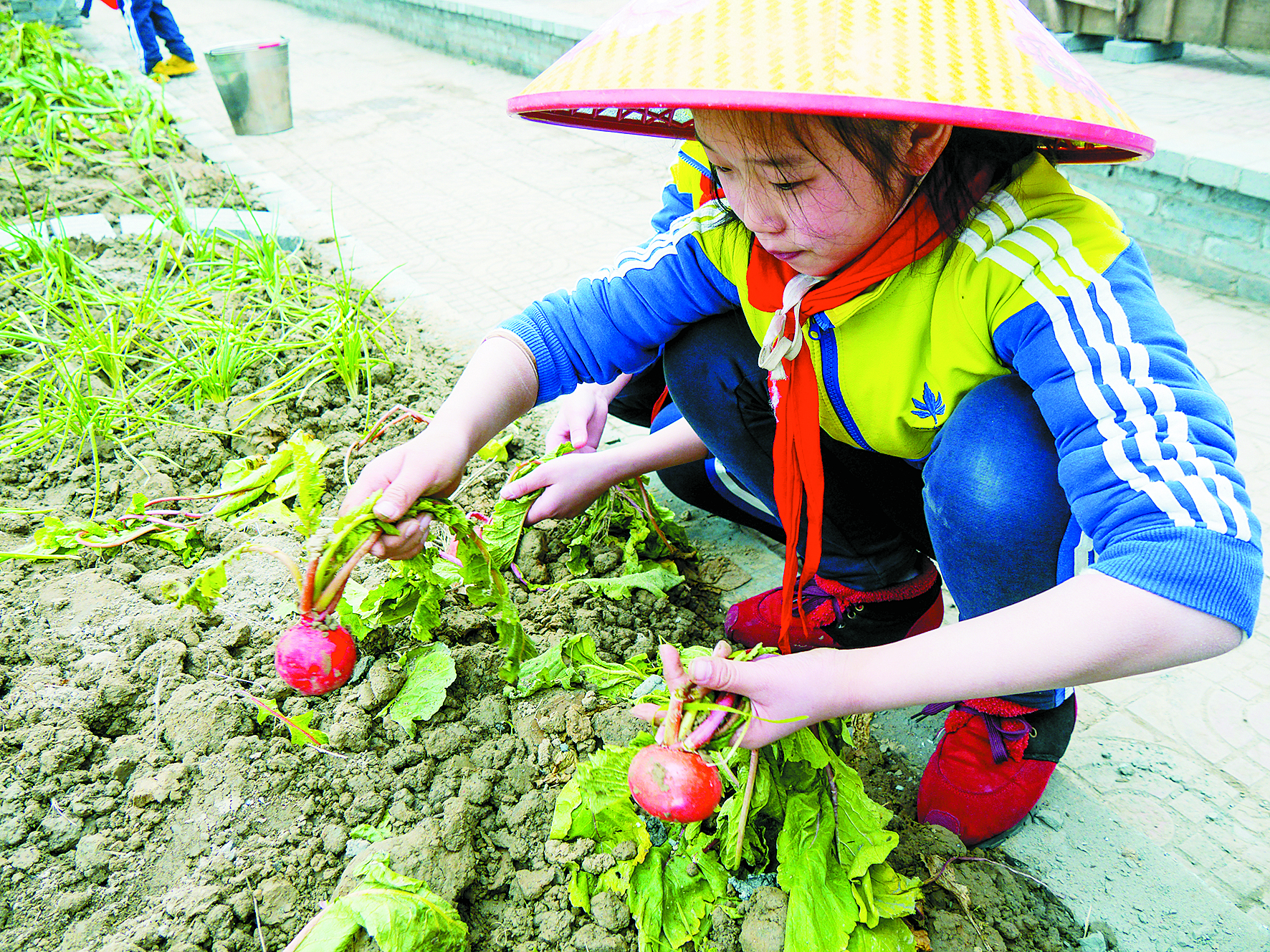 天门市为什么是状元之乡,为什么叫天门状元之乡