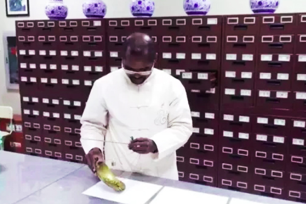 黑人小伙苦学成中医博士，扎根中国乡村20余载，培养超5000名村医