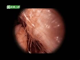 口碑炸裂宝藏纪录片推荐,宇宙生命探索纪录片