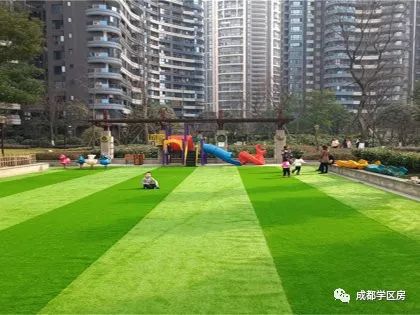 天府新区第五小学排名,天府新区a区学区房