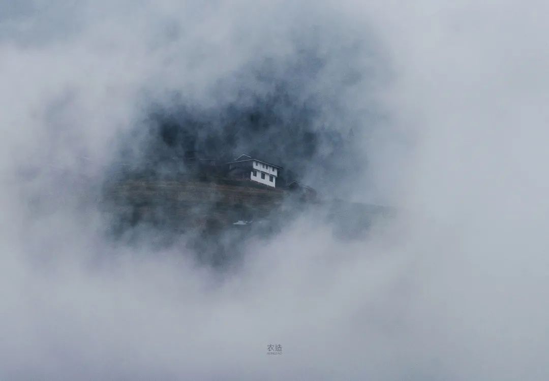 农造田野丨总有一根神经通往乡野|月亮山百里梯田