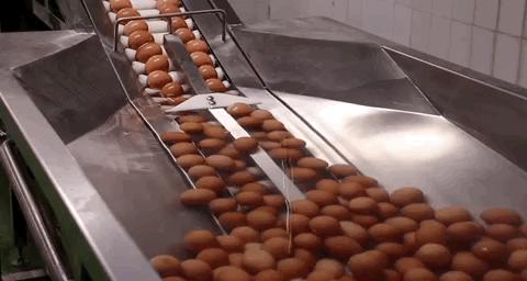 看旺旺的工厂,还以为来到了游乐园