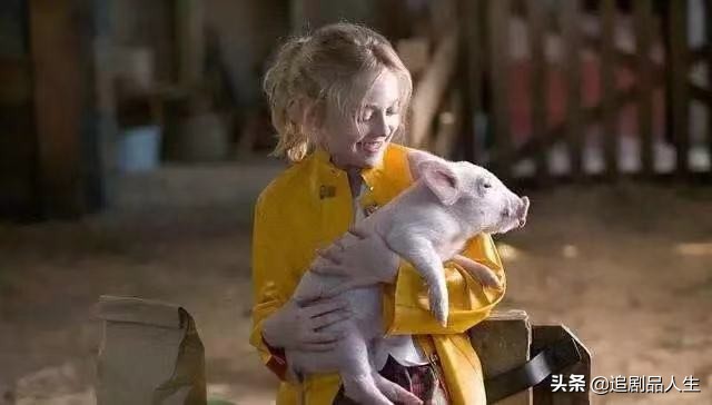 夏洛特的网教育意义,夏洛特的网的读书心得