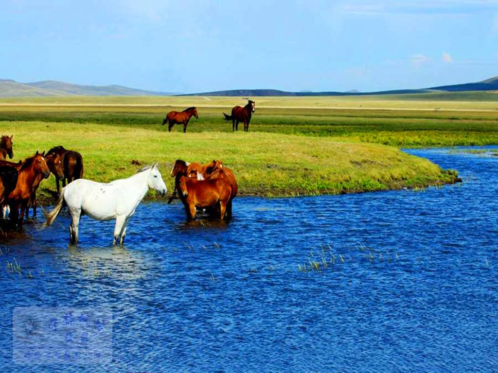 漠河根河最冷城市,中国最冷的地方是漠河吗