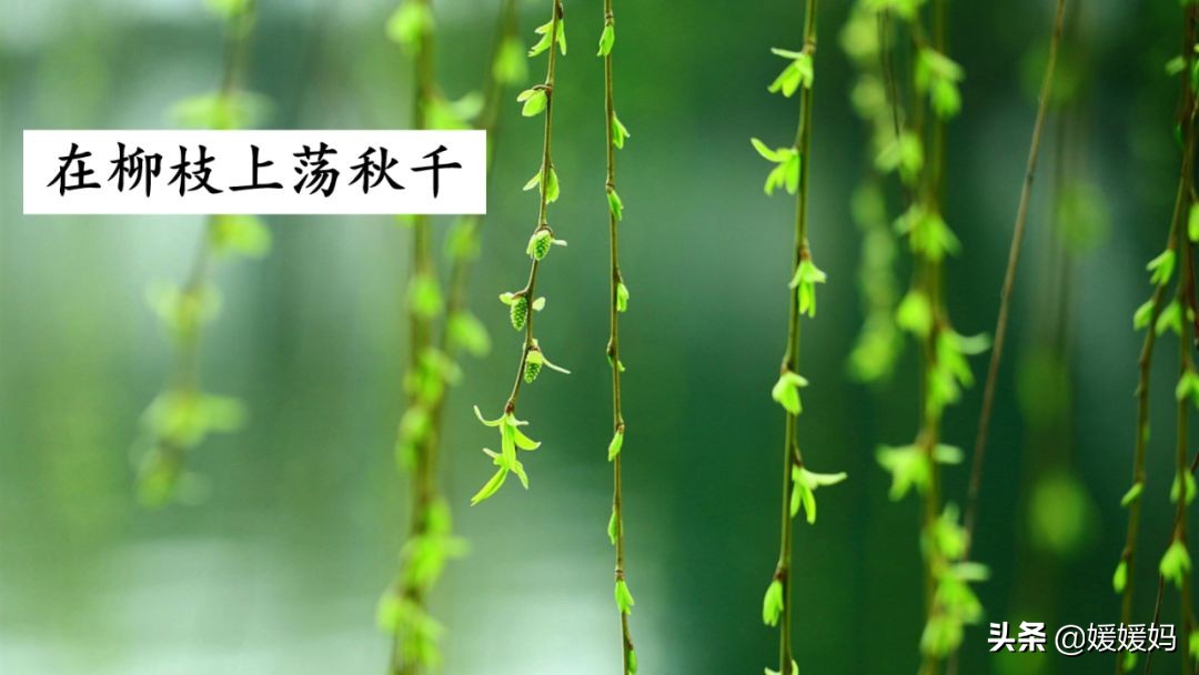 找春天二年级下册仿写第8自然段,找春天二年级下册朗读123自然段