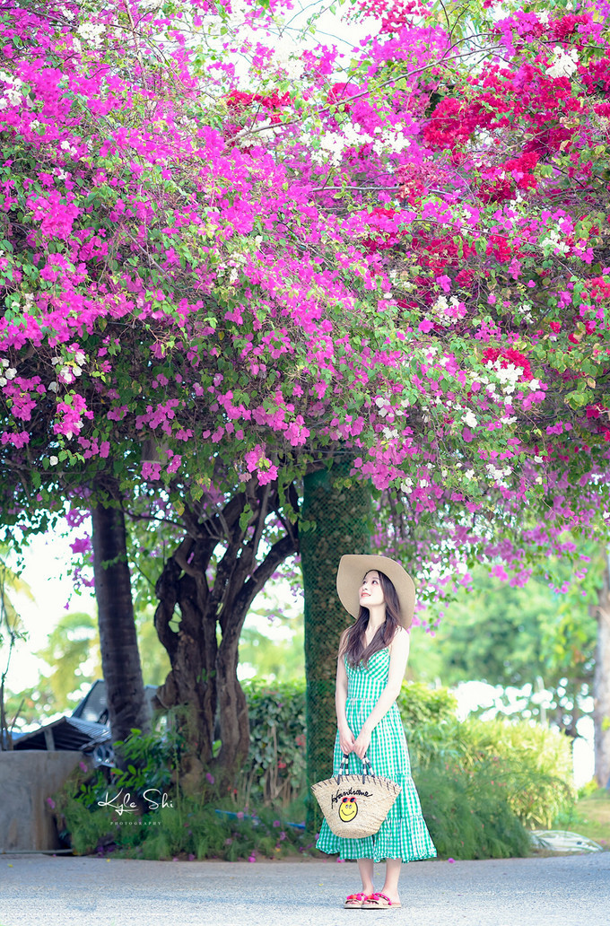 在海洋上与世隔绝的小岛,到大海里面就找一个小岛去生活