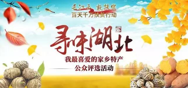 这么多大佬来到垄上频道,原来是那个差点成了雷军第二的人,终于有了大动作!