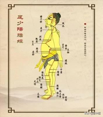 肩井穴调节胆经气血,肩井穴是胆经气血调畅的枢纽