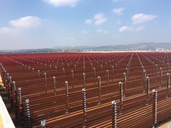 微藻的生物应用前景与展望,微藻产业化关键技术有哪些