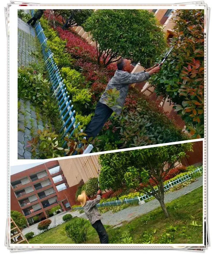 @亲爱的浠水思源学子：疫散花开，等你回来！