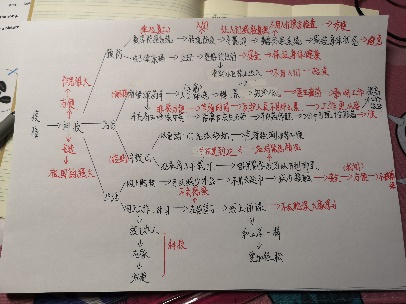 疫情思维导图小学,疫情对教育的深度思考