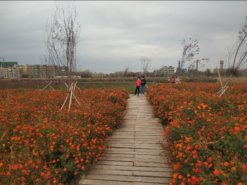 乌鲁木齐八大片区规划图,乌鲁木齐新增的几个区