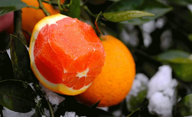 为拉动当地经济，各地官员开启新型“副业”，网友：这个兼职好