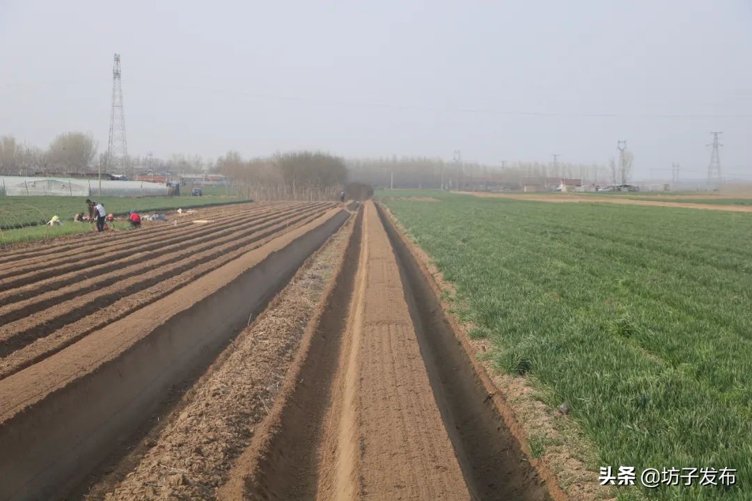 鎴戜滑鏉ュ埌浜嗕腑鍥界殑鑺︾瑡涔嬩埂,鍧婂瓙鑺︾瑡