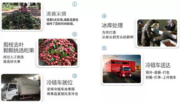 荔枝界的爱马仕,广东荔枝首选桂味荔枝