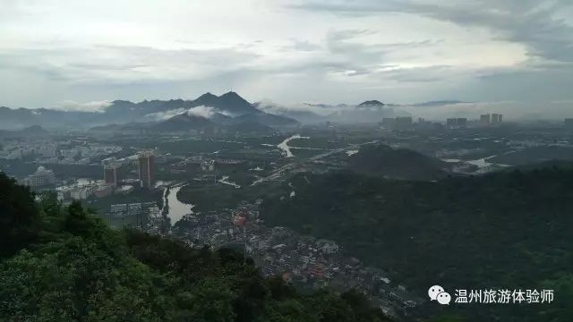 茶山寻幽处全文,茶山美景如仙境