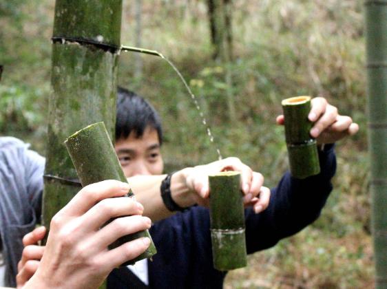竹筒酒放了一年了还能喝吗,竹酒在竹子上保留多久