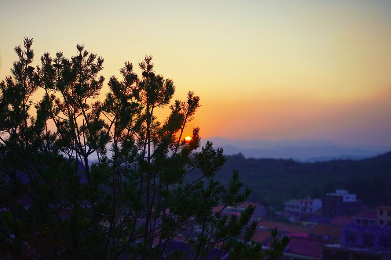 京东90分抵达田园度假区，住树屋，泡半山温泉，还有房车营地