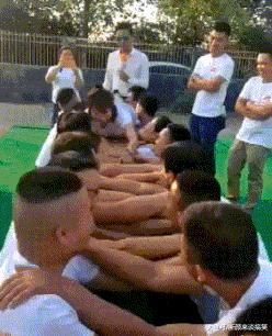 有一匹马不会动了是怎么回事,有一匹马不会动是怎么回事