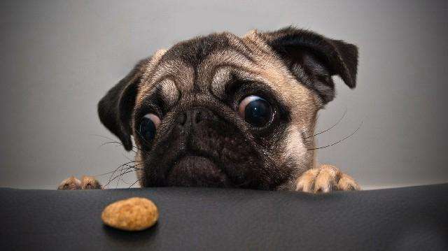 合伙做生意最后都反目成仇,合伙做生意进退两难时怎么办