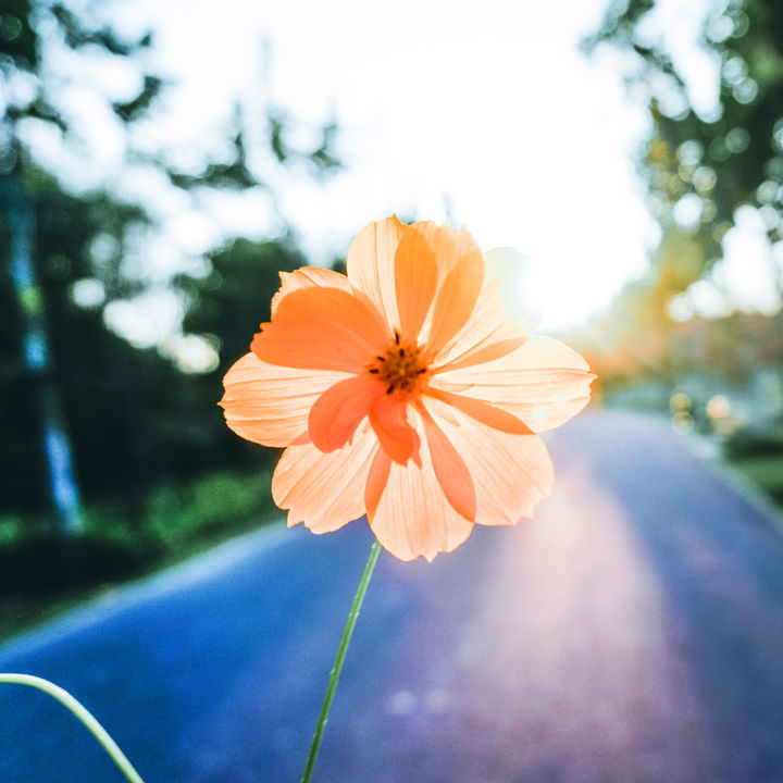 濂界敤鐨勬墜鏈轰慨鍥綼pp,濂界敤鐨勬墜鏈轰慨鍥綼pplightroom